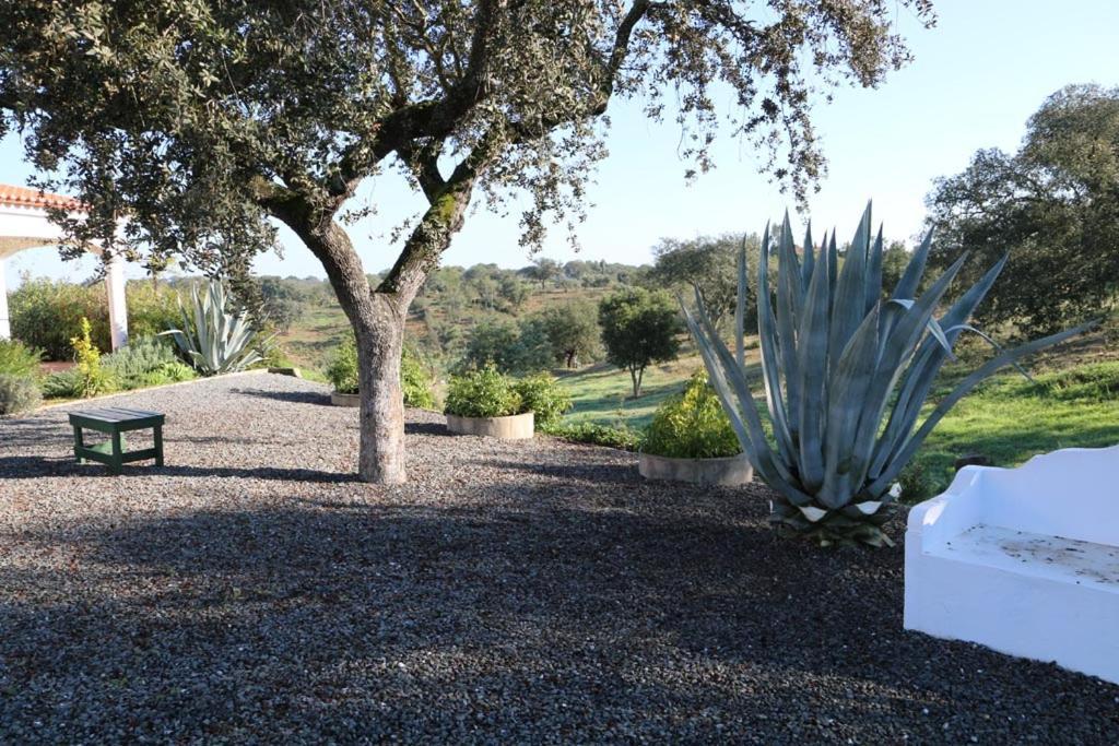 Апартаменти Monte Novo Da Sobreira, Rust En Ruimte In Zuid Alentejo Орікі Екстер'єр фото